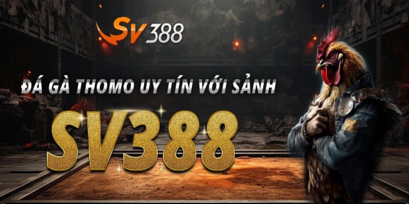 dang ky 79win 6818c7f49e361